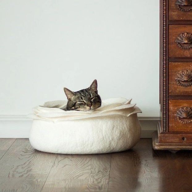 Te ayudamos a conseguir esa propiedad que tenga gustito a hogar ❤ 

#RemaxNorte #CalorDeHogar