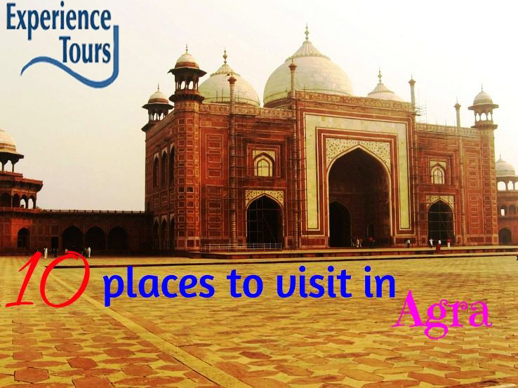 TempoDelhi's tweet photo. We provide various types of custom Taj Mahal and Agra tour packages as per the tourist demand with a Multi-language speaking tour guide.
visit our web portal - https://t.co/w1yyHeb9dZ
#Agra #Agratourpackage #delhi #TajMahal #tourists #tourpackage #touroperator https://t.co/c3DIDSFVD3