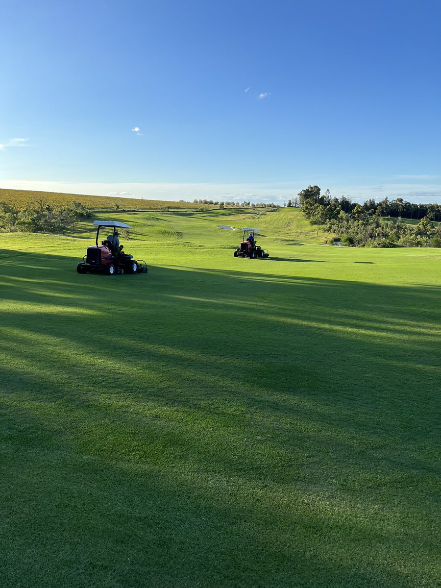 Joshua Willard tweet media