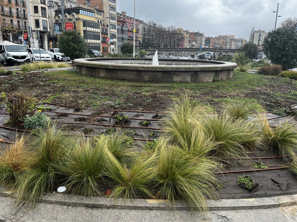 AnnaPlaB's tweet photo. Acabo de fer una foto a uns turistes que visitaven la nostra estimada Girona però he pensat que lo de #Gironamenamora està perdent força, almenys per com tenim els perterres avui. @girona_cat suposo que esteu al cas. https://t.co/lpRAiZdYJ0
