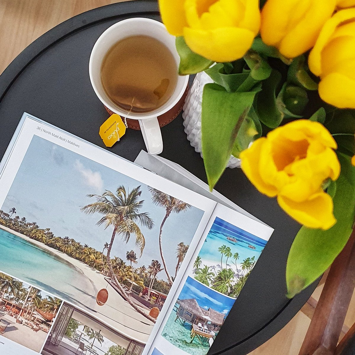 Traveling Finnish Girl tweet media