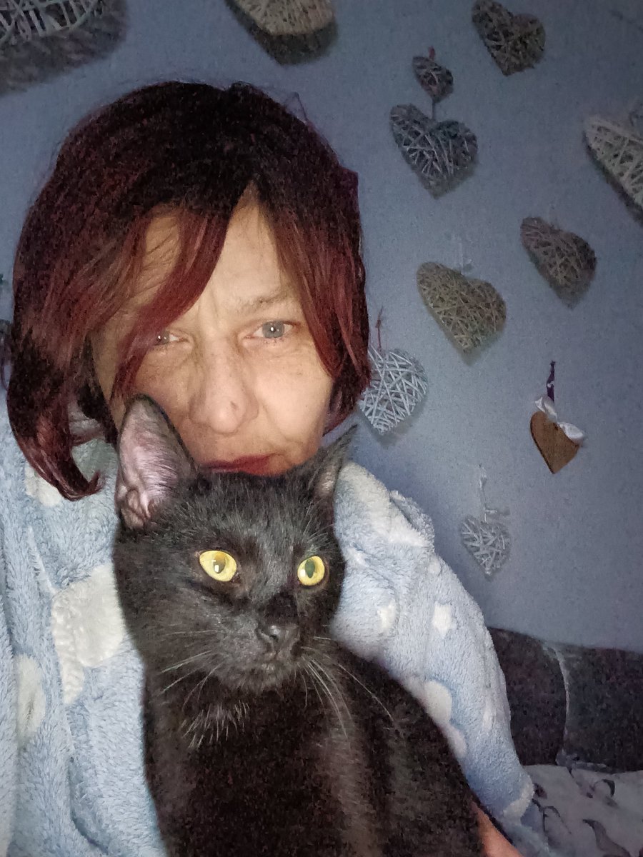 MrMAGIC72014978's tweet photo. Me last night making Mommy laff cos she was having a really horrible day so I was being silly sitting on he #Shoulder I did make mommy smile
#SillyKitten #ParrotCat
#KittensOfTwitter #EmoshanalSupportKitten #CptsdSucks https://t.co/Qe3QDOGB2W