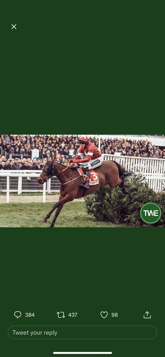 Dizzledolf's tweet photo. @TWEnclosure https://t.co/zJqLlxNZvu