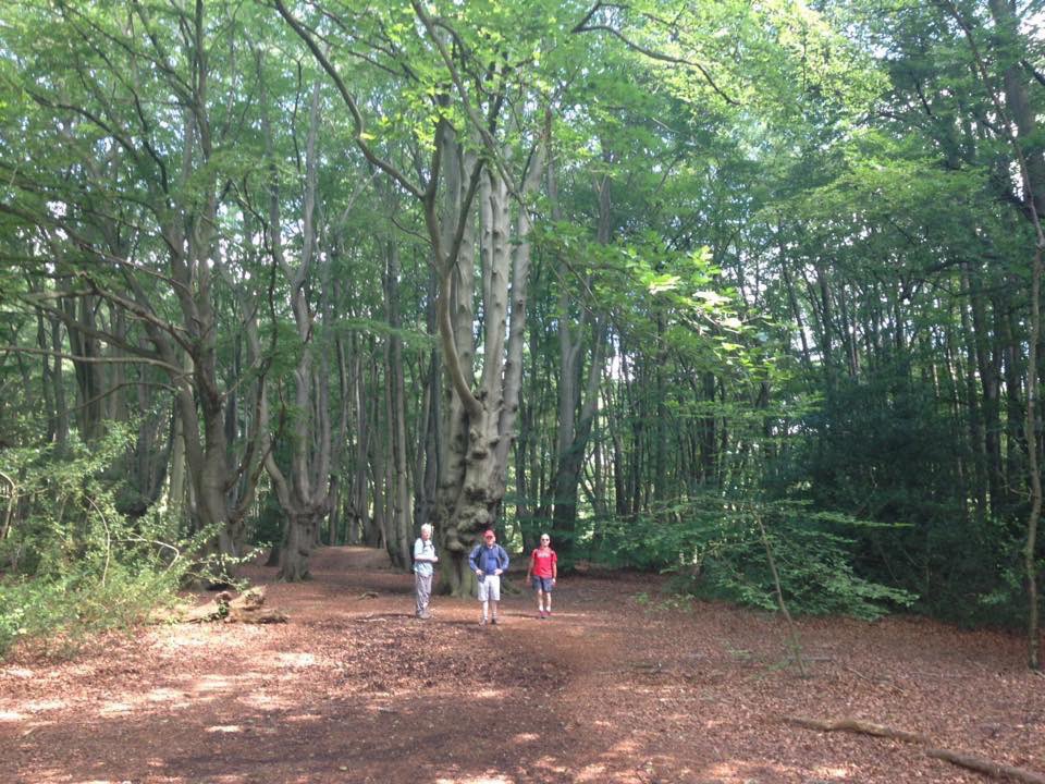 LoughtonMC's tweet photo. Did you see us in @Team_BMC #summit magazine (Page 60)? supporting #FindYourAdventure : Discover the walking world through your local BMC walking club. #EppingForest #Essex #London https://t.co/4KnJ2Y2fWv