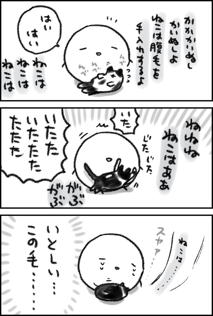 かいぬしが帰宅してそわそわするねこ 