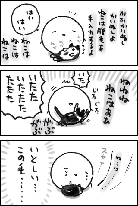 かいぬしが帰宅してそわそわするねこ 