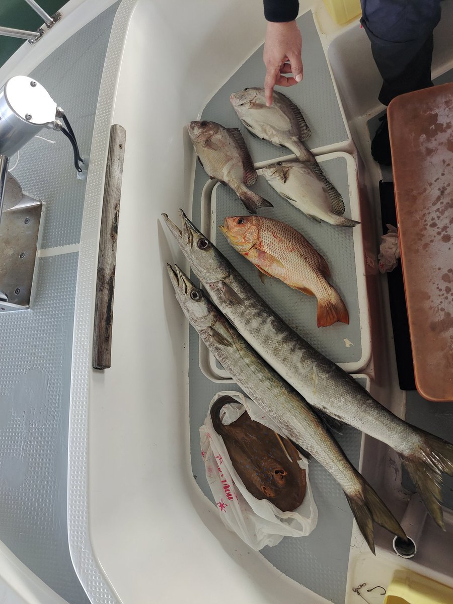 MuhdAniqAqil's tweet photo. Night offshore trip 🤪 #bigfishonly https://t.co/6CW475sTQf