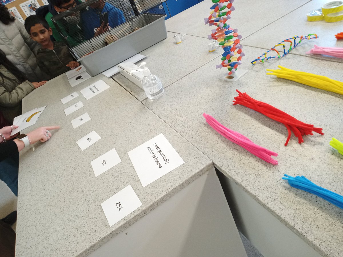 CNSScience's tweet photo. Come and learm about DNA and build your own DNA strand at Super Science Saturday @cns_school between 11am and 3pm https://t.co/e9uZiRZBtE