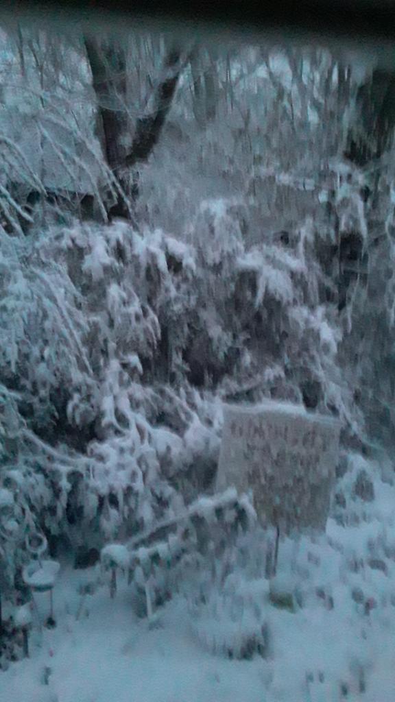 I did not expect to wake up to this!