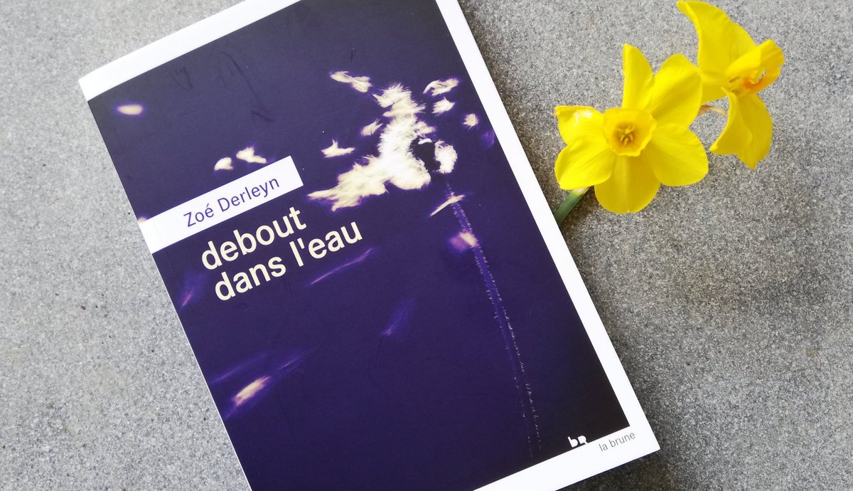 #lecture terminée "Debout dans l'eau" Zoe Derleyn aux éditions La Brune au Rouergue
Une jolie surprise de la sélection 2022 des <a href="/68premieresfois/">68 premières fois</a>