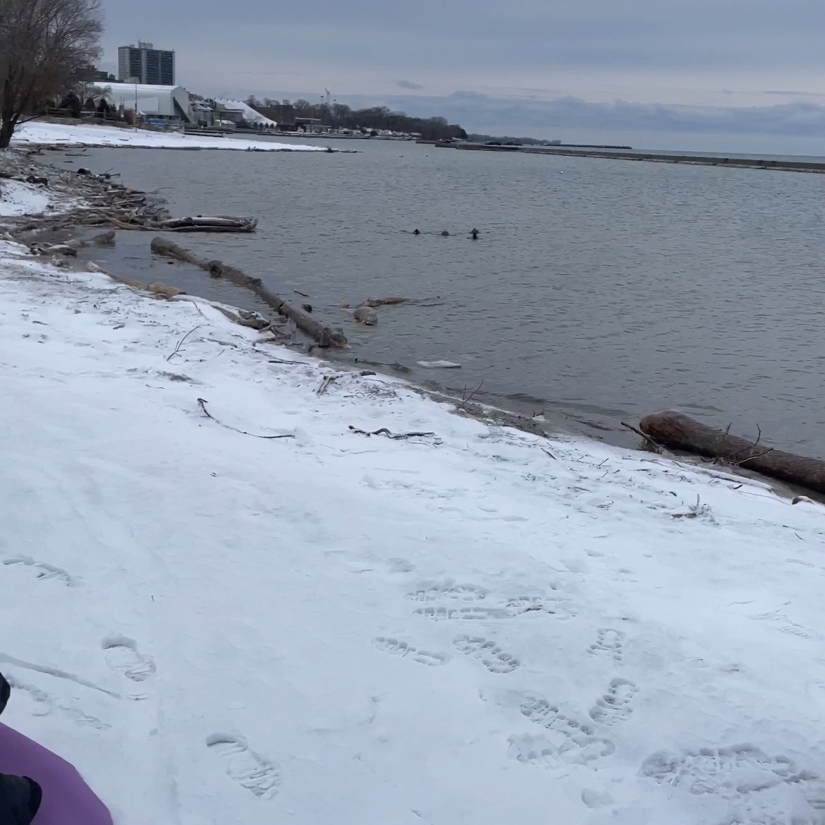 CASIE 💕☀️ tweet media