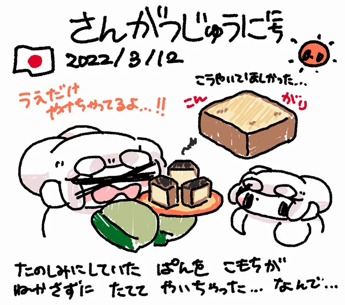 ファンファン #おもちにっき 