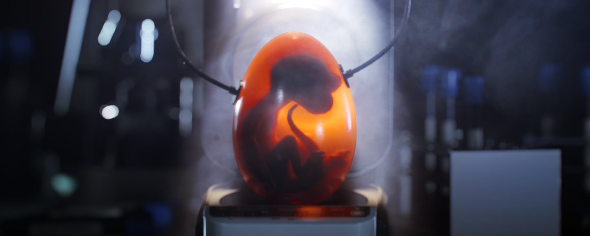 Welcome to #0xBorn 

Elite Membership Pass to the Experiment...🎟️ 

RT for more...