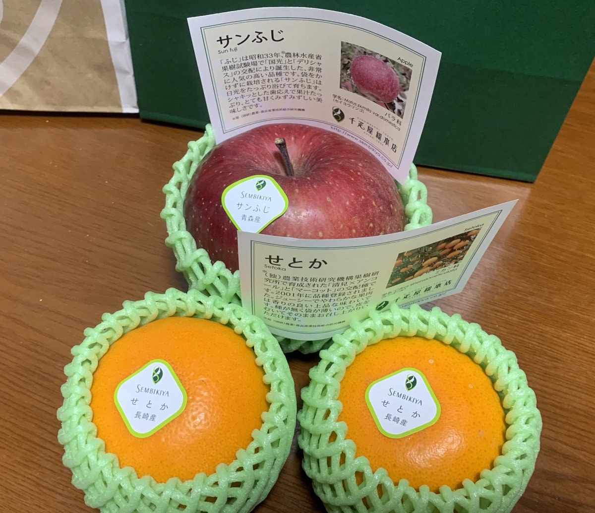 魚米 完全個人勢 Sakanamai Game এর উত তর র স থ ট ইটগ ল ট ইট র 魚米 完全個人勢 Sakanamai Game এর উত তর র স থ ট ইটগ ল ট ইট র