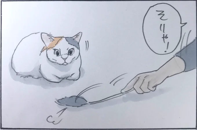 『猫じゃらし引退』 