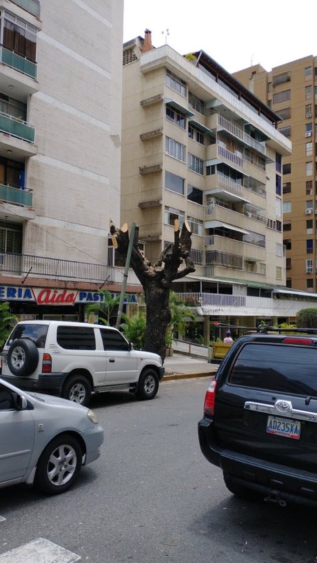 Caracas,2022. Cuándo las autoridades caraqueñas serán conscientes del daño que le hace al medioambiental la tala indiscriminada.