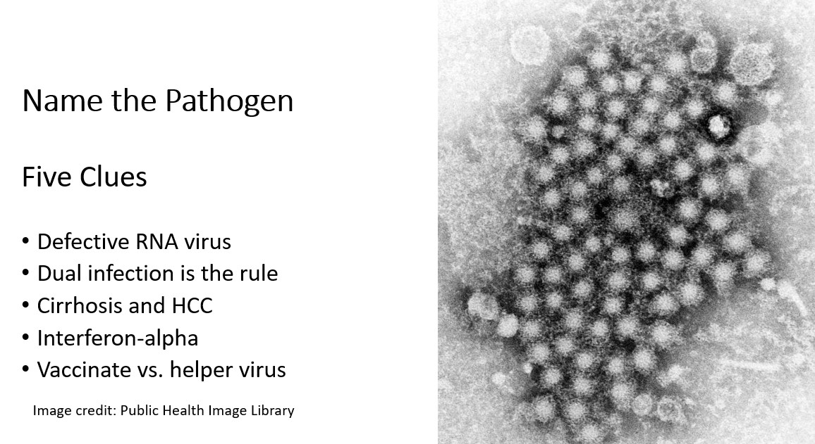 Mayo Clinic Infectious Diseases tweet media
