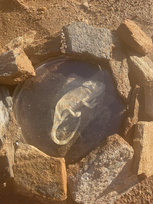 Who else collects #Bones #dead #death #decomposing #decay #bones #bonesday #skeleton #corpse #CORPSE<a href="/tag/bones"class="tags">#Bones</a><a href="/tag/dead"class="tags">#dead</a><a href="/tag/death"class="tags">#death</a><a href="/tag/decomposing"class="tags">#decomposing</a><a href="/tag/skeleton"class="tags"><span>#skeleton</span></a><a href="/tag/corpse"class="tags"><span>#corpse</span></a><a href="/tag/decay"class="tags"><span>#decay</span></a><a href="/tag/bonesday"class="tags"><span>#bonesday</span></a>