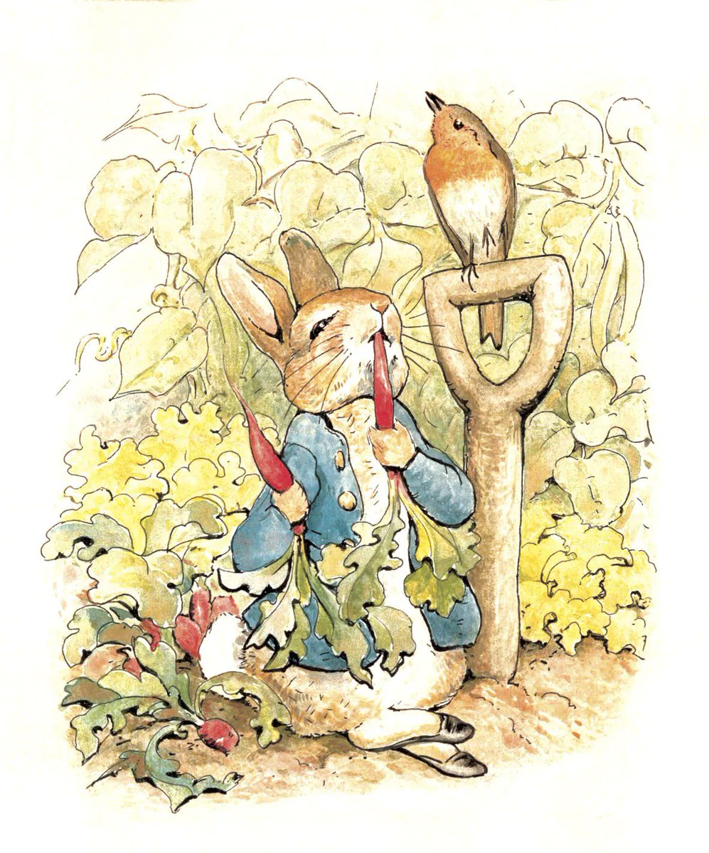 HogieHighlandCo's tweet photo. Morning everyone! Another "the books that made me" post for you all that I want to share, is the infamous and most influential author/illustrator of our time, Beatrix Potter.
#hogiethehighlandcow #BeatrixPotter #booksthatmademe #peterrabbit #authorillustratorinspiration https://t.co/eNeopEBrGm