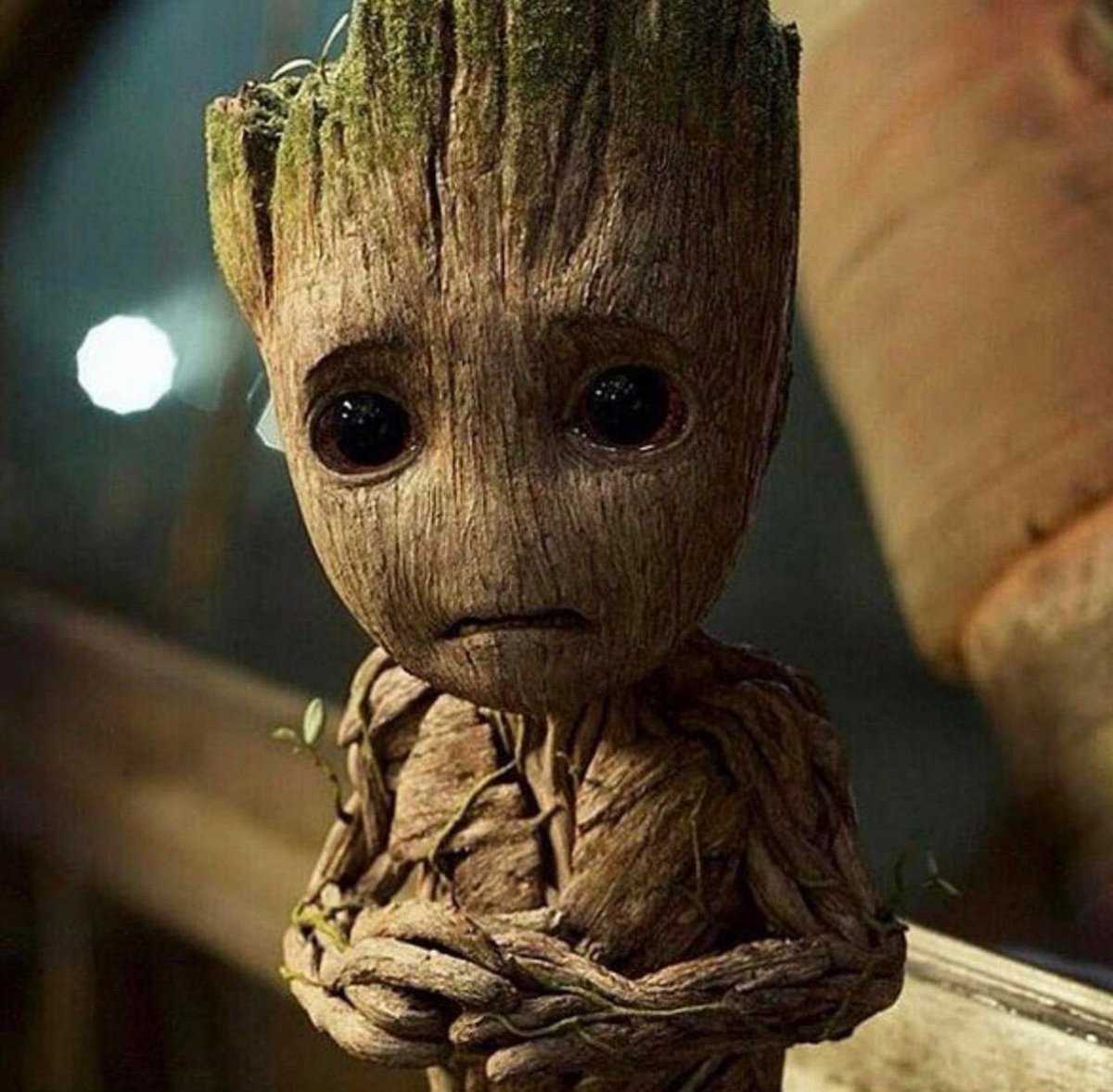 AraknideHQ's tweet photo. De nombreux fans supposent que Groot a été réincarné en Baby Groot après son sacrifice à la fin des Gardiens de la galaxie. 

James Gunn a depuis clarifié que Groot est mort, Baby Groot est son fils et a confirmé que Baby Groot n'a aucun des souvenirs de son père. https://t.co/SlRrjqNE2R