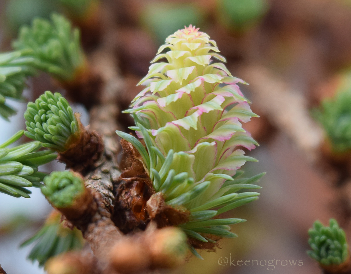 Luke Keeno 🇺🇦 tweet media