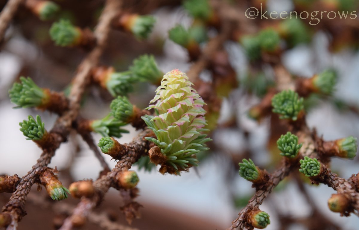 Luke Keeno 🇺🇦 tweet media