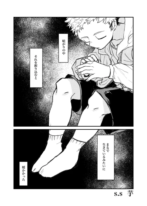 S.S(ショタショタ)芋 サンプル分 