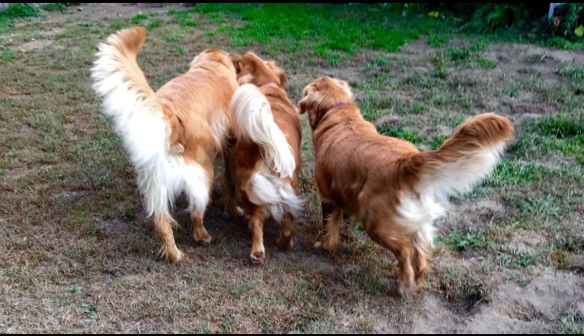 Pepper Divine 🇺🇸♥️ tweet media