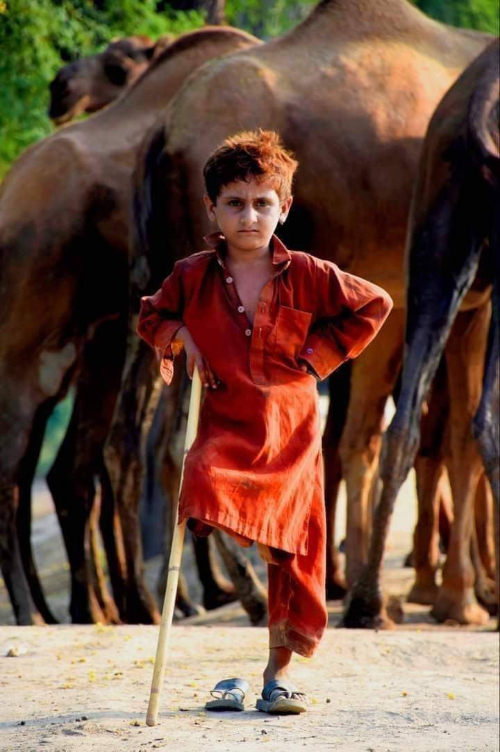 jugn01's tweet photo. وحشتیں بڑھ گئیں میری مگر کیا کیجئے
مجھ کو کردار نبھانا ہے کہ میں اچھا ہوں
#Sithari https://t.co/WyineeXy2l