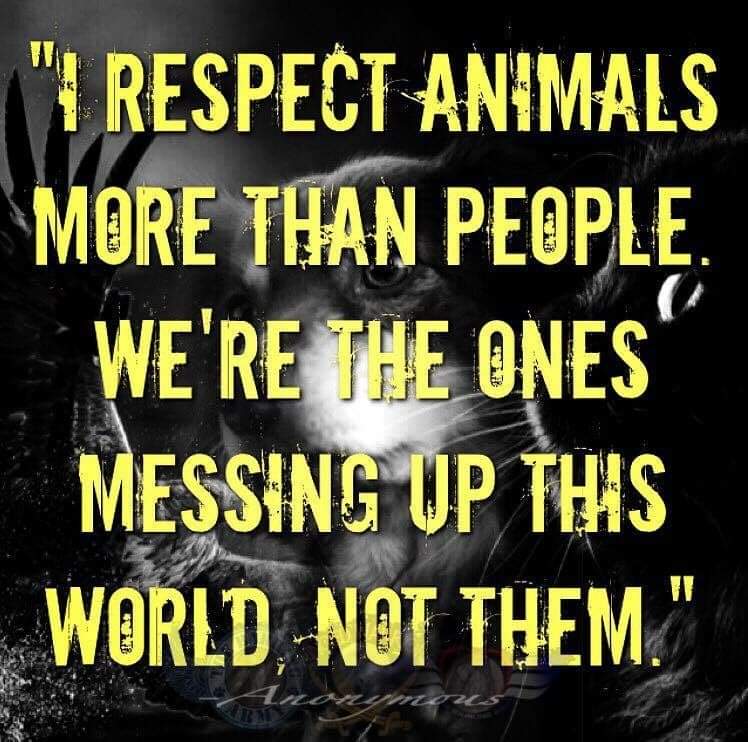 🐾🐾 🌻 Jenny 🌻 🌞🌱🏴󠁧󠁢󠁳󠁣󠁴󠁿🦄🇺🇦 tweet media