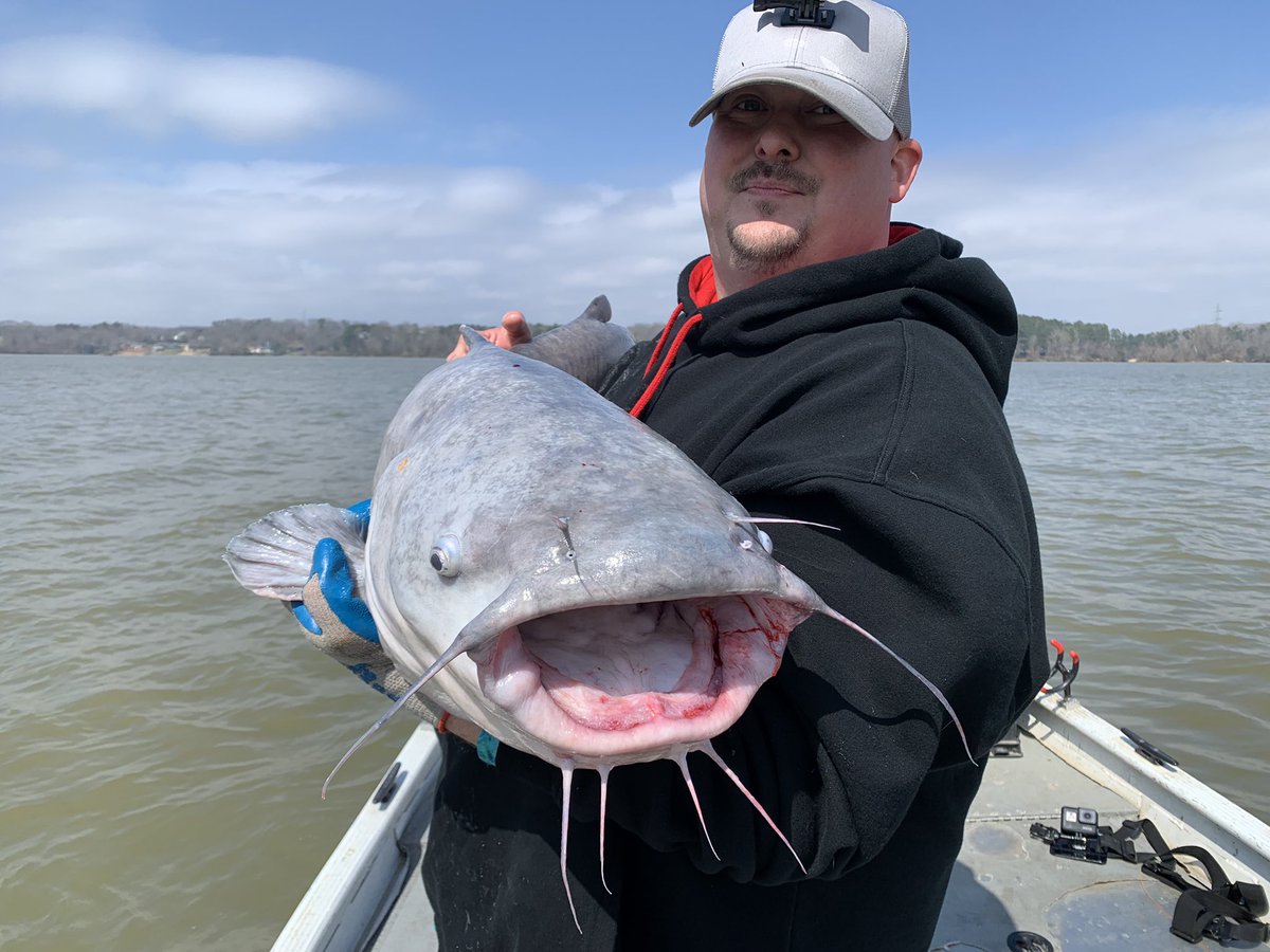 ChattCats's tweet photo. Big boys are on the move! https://t.co/En8H8kPvvE
