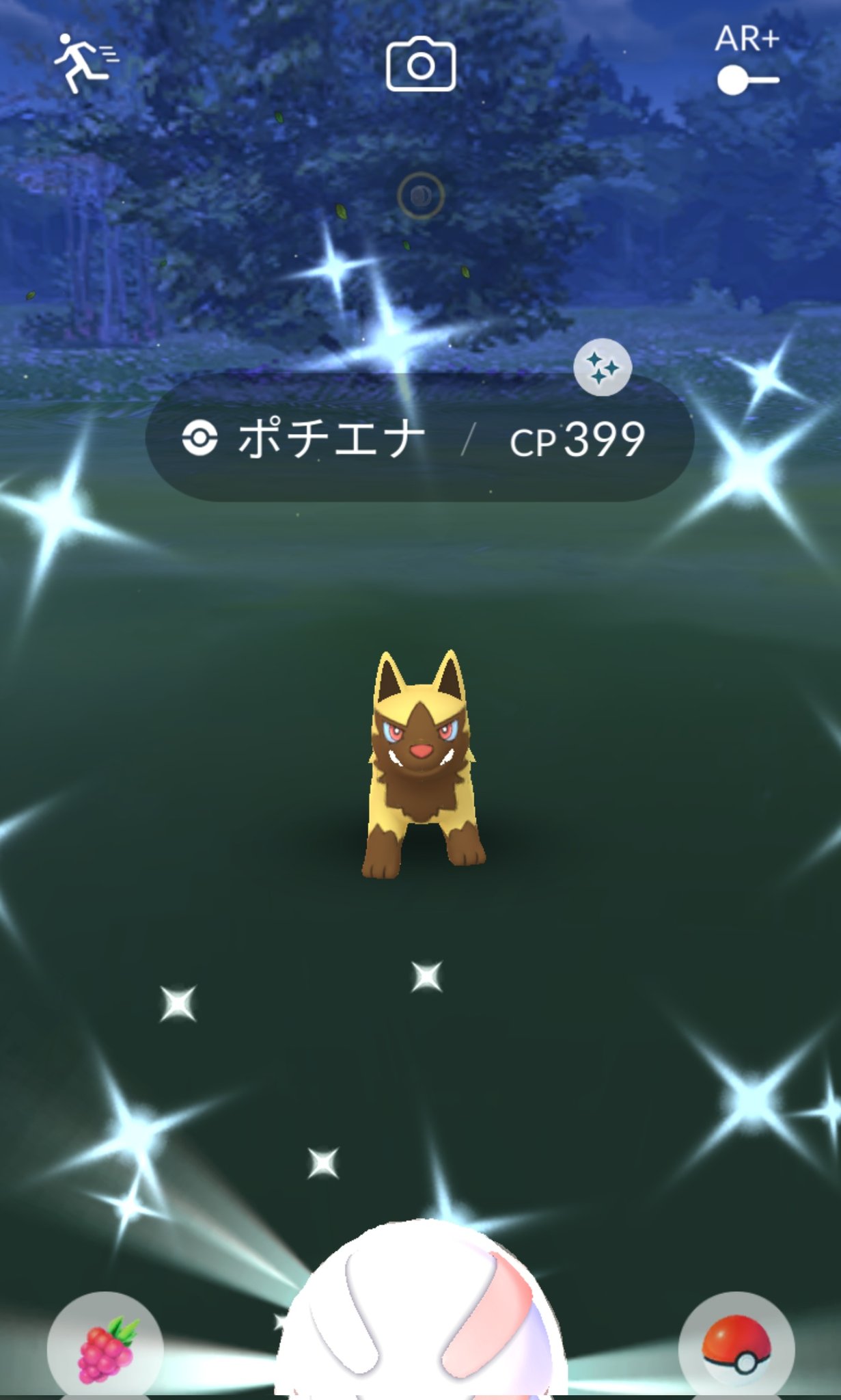てこ ポケgo あ ﾟ おうちにかわいい子きてくれた 本当は金色なんだっけ でも私の中では黄色がいいなー ポケモンgo Pokemongo ポケモンgo色違い 色違い Shinypokemon Shiny Poochyena ポチエナ ポケモン おそろですね おいし