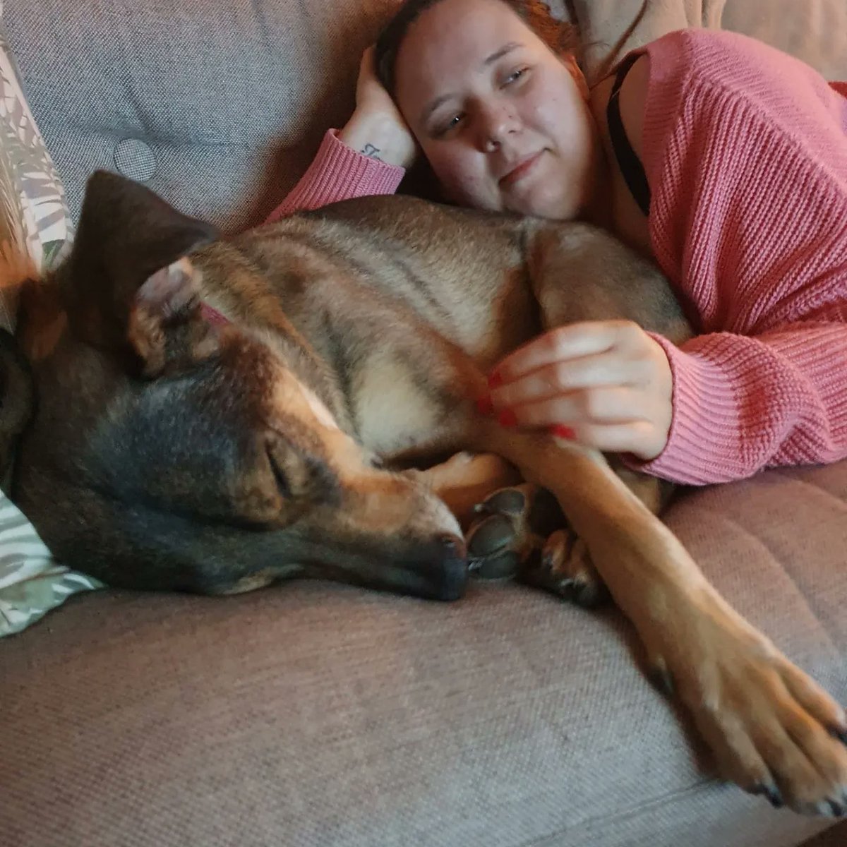 BlueBlue96yo's tweet image. She turns 6 today 🥰