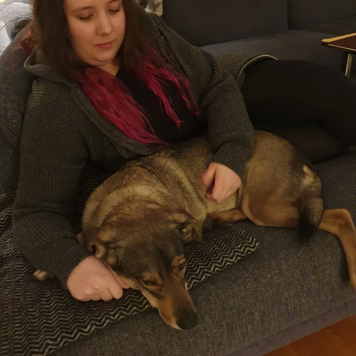 BlueBlue96yo's tweet image. She turns 6 today 🥰