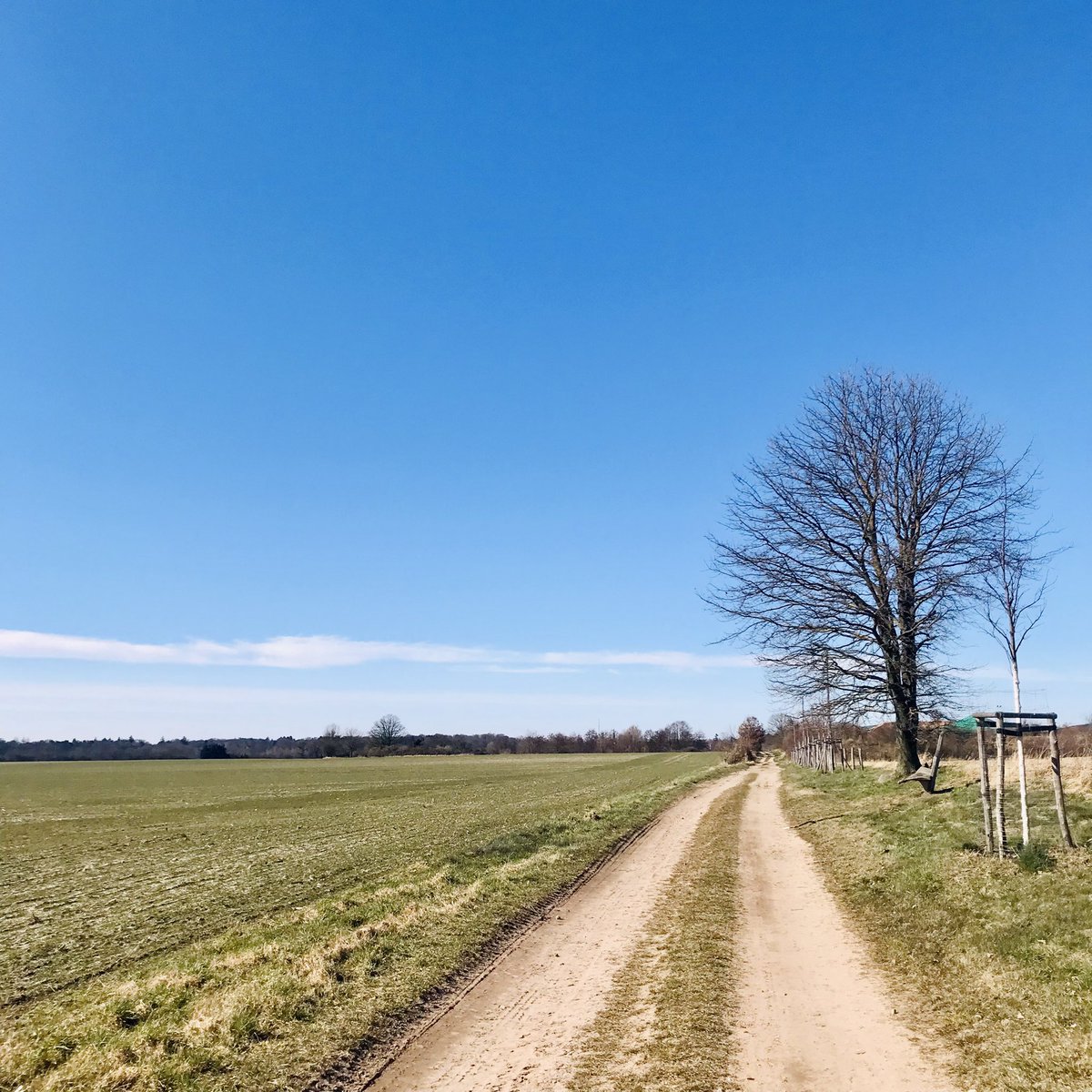 underagreysky's tweet photo. Walking at the end of winter… #derflaeming #adventuresbeyondthefrontdoor https://t.co/U8F1yg5Dsq