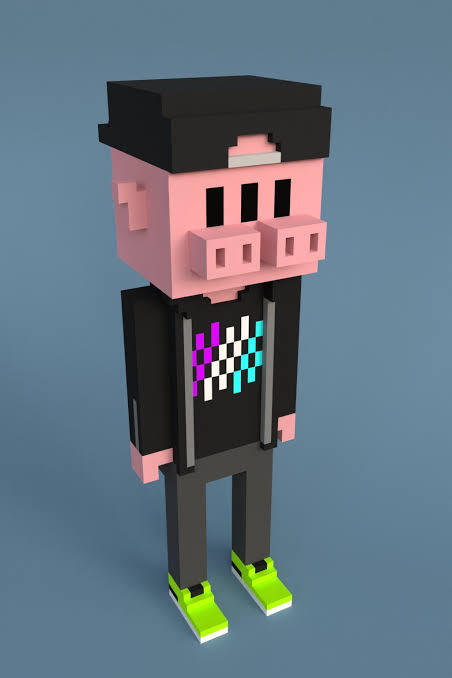 Wow crazy to think of all the amazing opportunities that can be seized now you have the commercial rights to this siamese twin minecraft pig in a backwards baseball cap