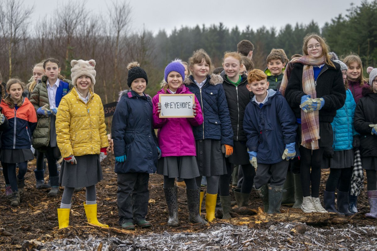 ForestryEngland's tweet photo. Thank you to everyone who entered our #EyeHope competition 👁️
It was so lovely hearing all of your hopes for forests in the future. Find out how we're working to protect the nation’s forests so that future generations can still enjoy them.
👉 https://t.co/rTrTaXXKxI https://t.co/xPruT4wYc1