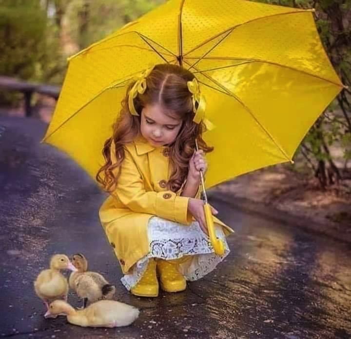 " تولد السعاده من حب الغير . . ويولد الشقاء من حب الذات "💛🍂 #حياتي_كلها_لله

🌼💎🌼