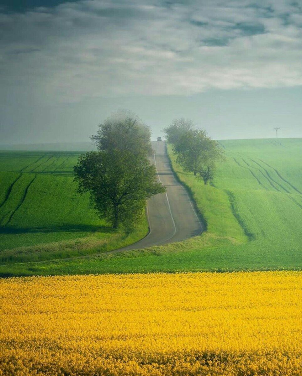 يا رب حياة تشبه الغيم و طرق خضراء لا تجف🌱🍁🌹

#امين يارب
#حياتي_كلها_لله

🌼💎🌼