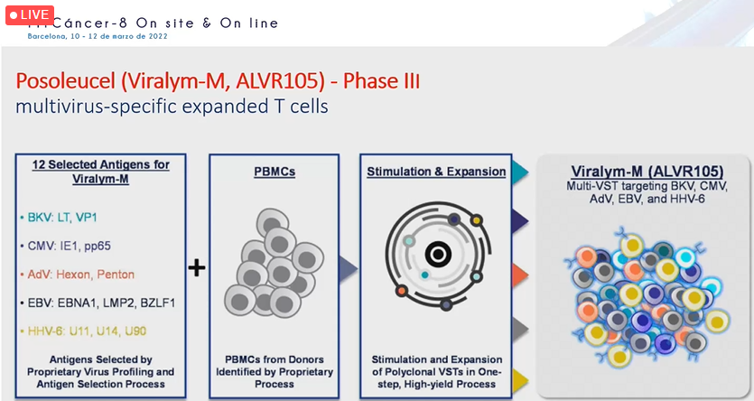 InfoGetica's tweet photo. #FITCancer8 Some trials are testing multivirus-specific expanded T cells. https://t.co/ZHssESF7IE