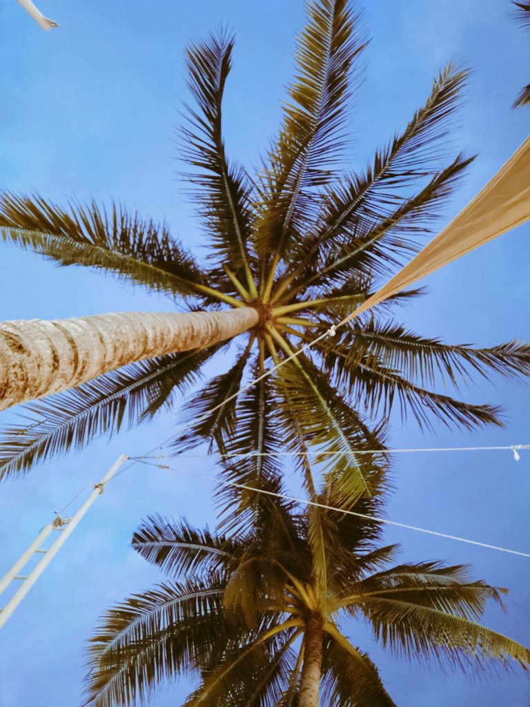 jean_dc's tweet photo. How amazing it is to live under a sky that is repainted everyday by the greatest artist 😍🏝️🏝️🏝️❤️ https://t.co/fE5WPGxjeY