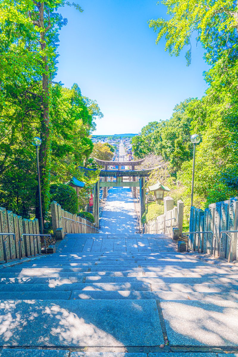myu_B7's tweet photo. 散歩日和☀️

#ファインダー越しの私の世界
#写真好きな人と繋がりたい #cinematic 
#キリトリセカイ #アニメのワンシーンのように https://t.co/GQvQujxFu5