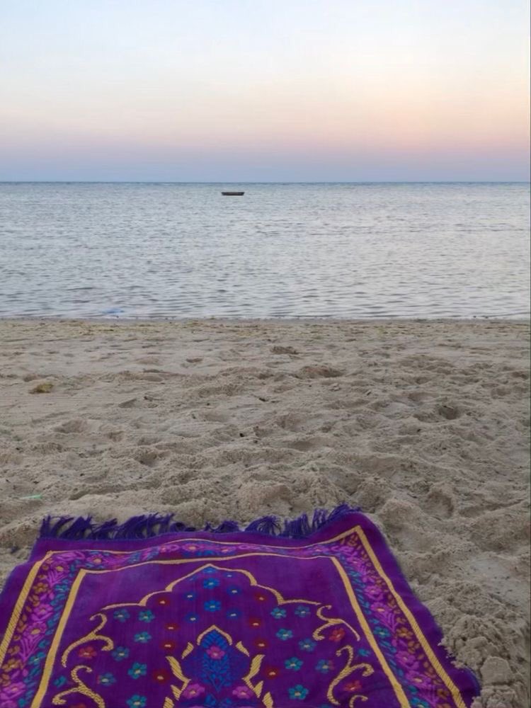 path2peace_'s tweet photo. Sometimes all you need is peaceful place and Salah. https://t.co/hy4pd0iObr