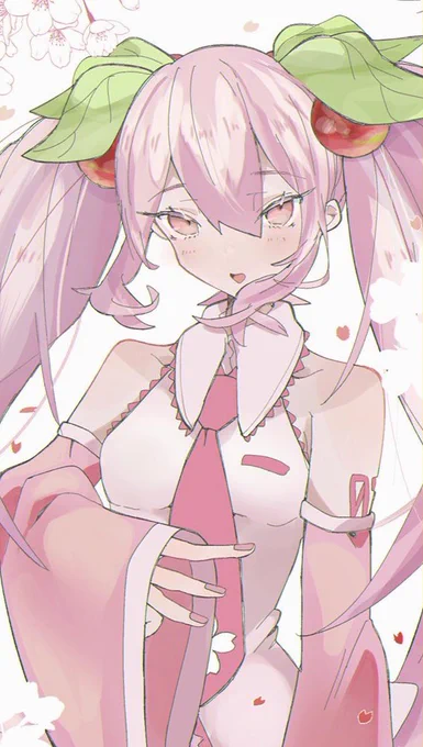 🌸🌸🌸 