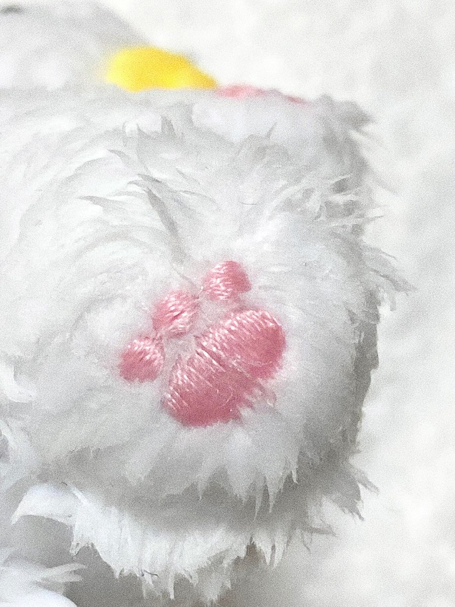 깡냥이 말랑말랑 핑크 젤리 ...🐾💗