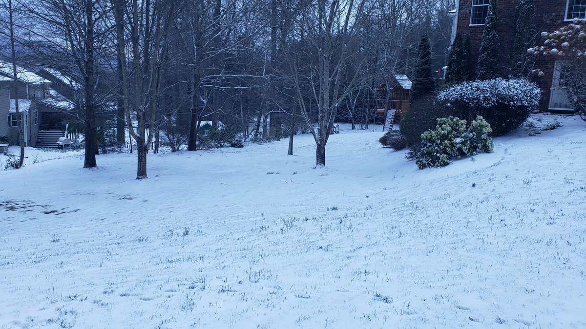 Tim Ballisty tweet media