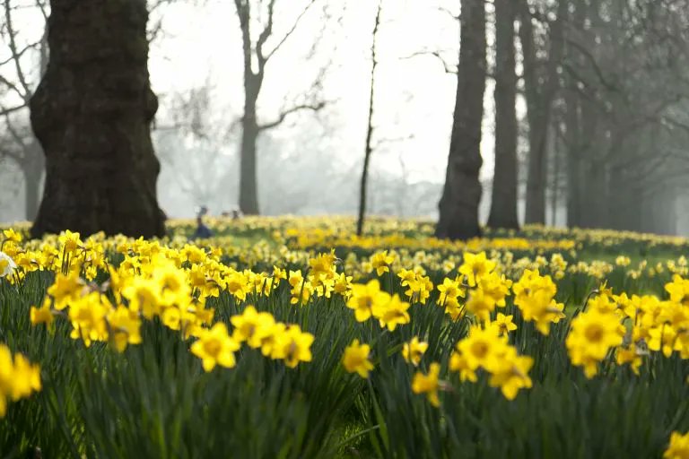 NystagmusUK's tweet image. It's spring, so let's get out there and enjoy our local parks, wherever we are.
buff.ly/37hJvvL