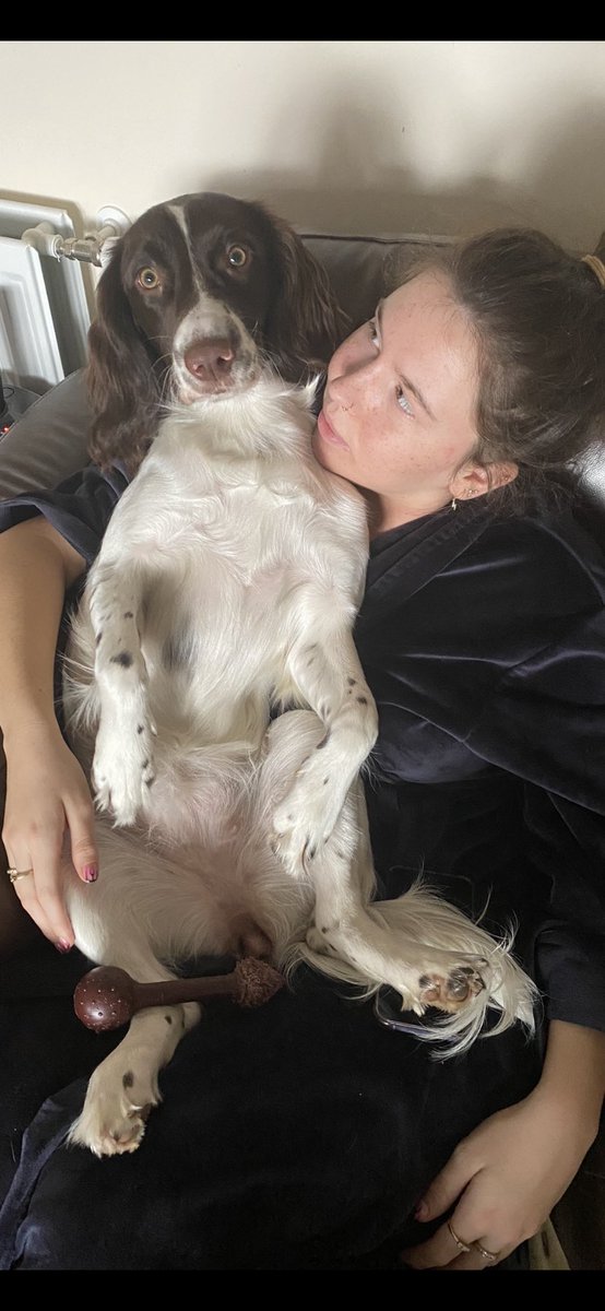 chazpoppy's tweet photo. Daughter and dog #oorbetsy #daughter2 #spaniel #mansbestfriend https://t.co/B6gZZQJbZB