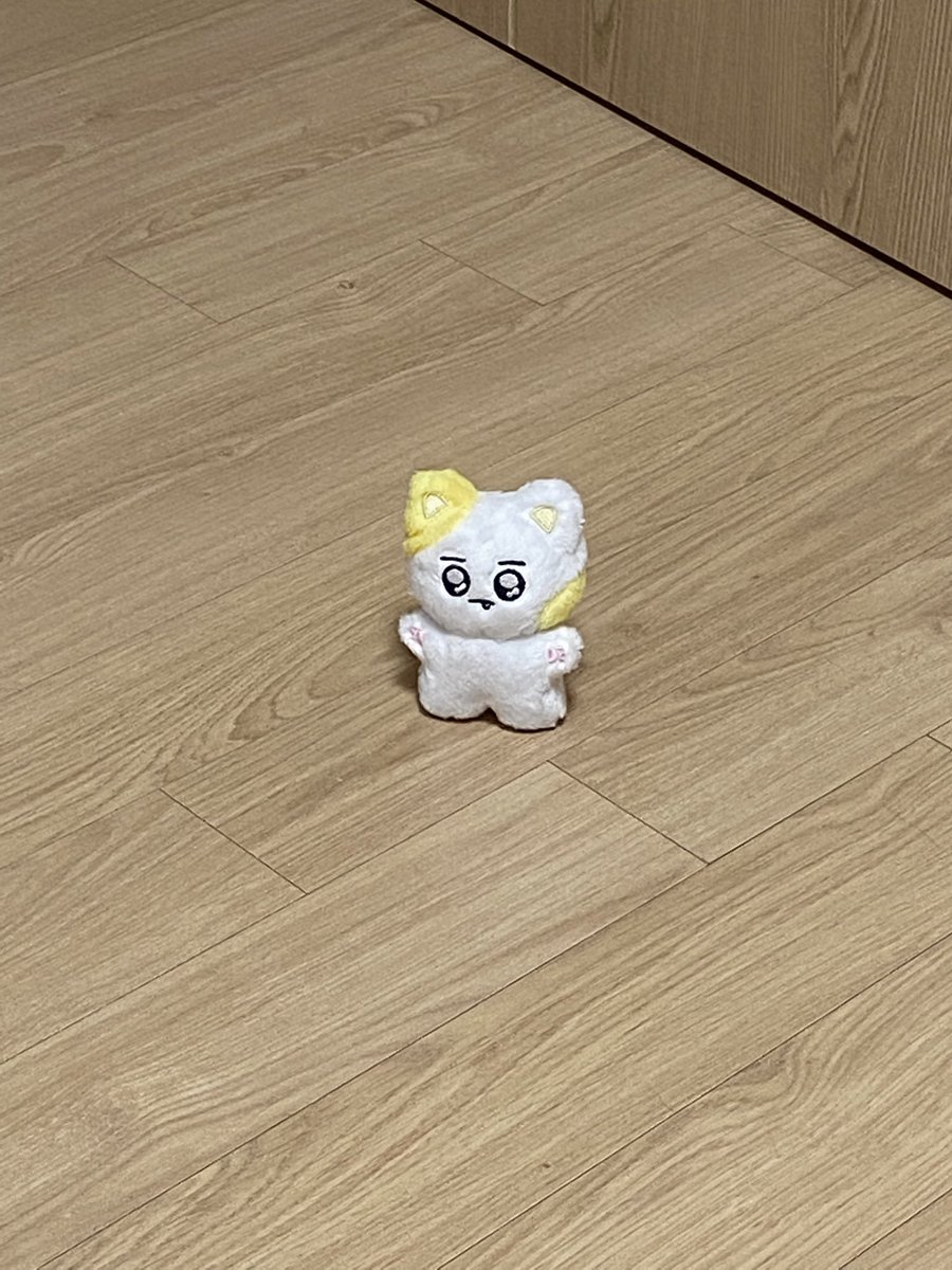 작지만 나름 벌크업한 꼬리 덕분에
혼자 서있을 수도 있어요...💛💛