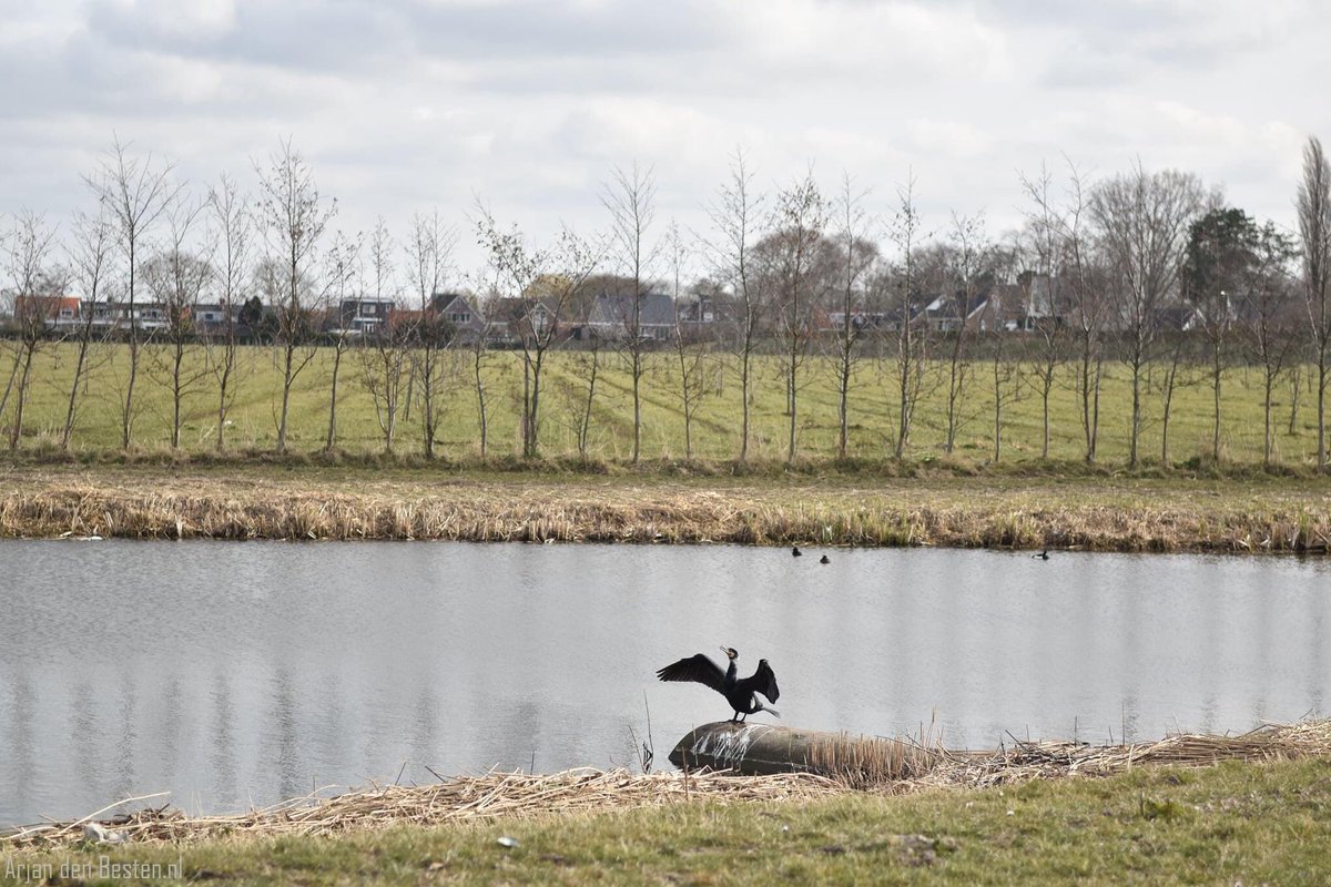 📷 Zonnen voor gevorderden ☀️